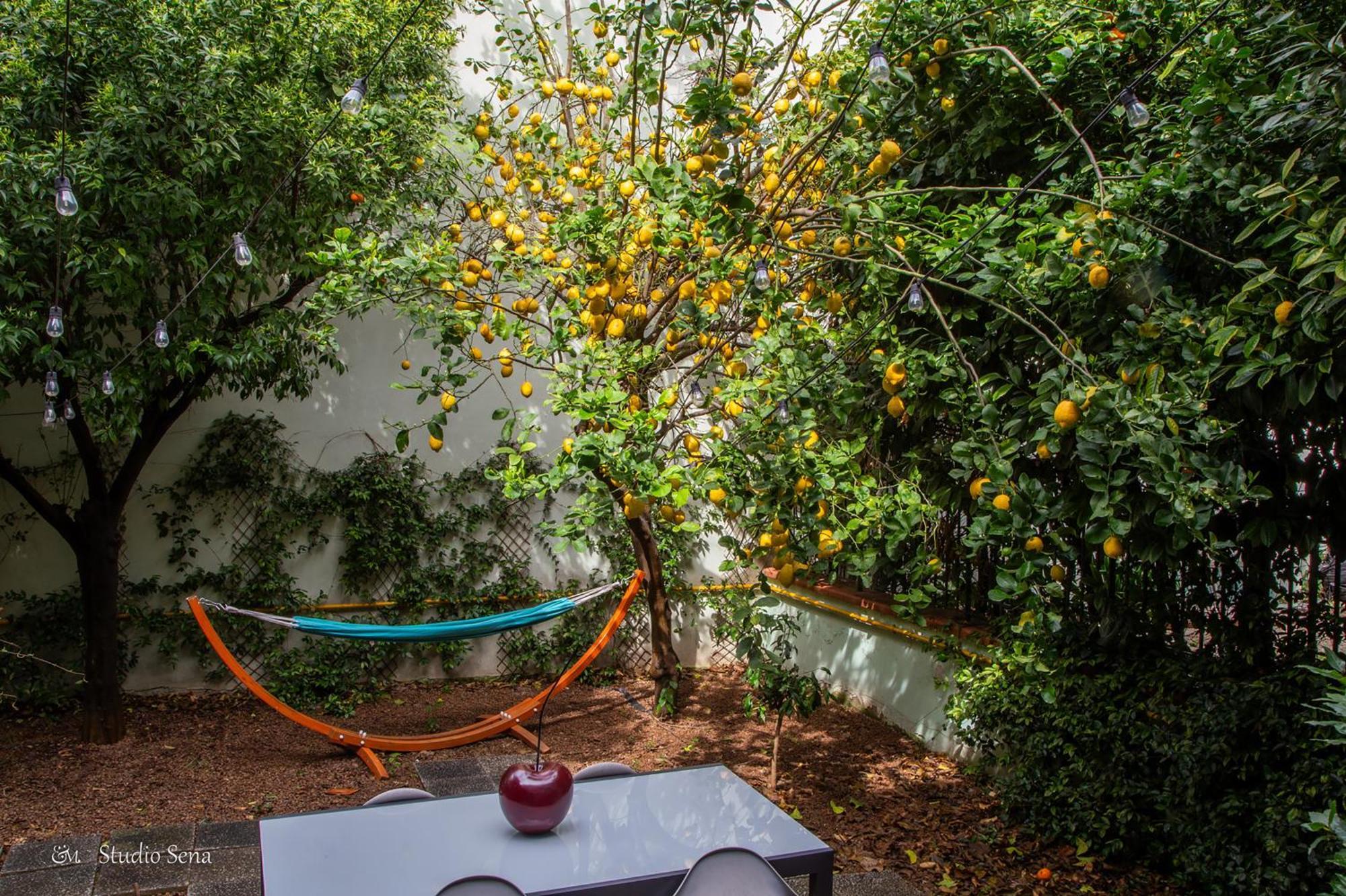 Utopia Bed & Breakfast Marigliano Exterior foto